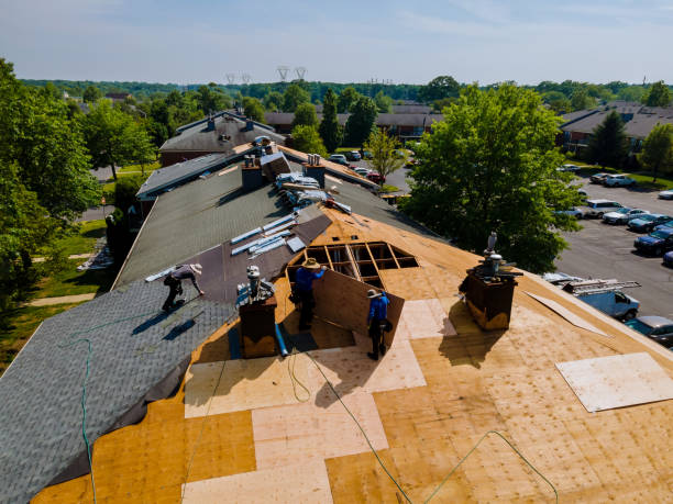 Best Flat Roof Repair Services  in Scottsville, NY