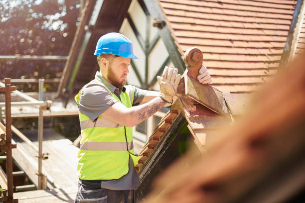 Roof Gutter Cleaning in Scottsville, NY